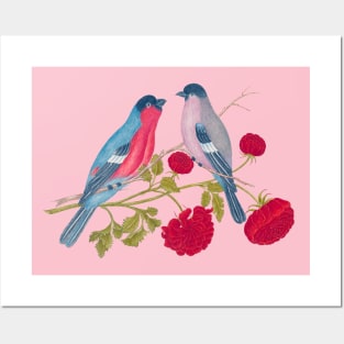 Two Bullfinch Birds and Red Flowers Wildlife Illustration Posters and Art